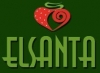 Elsanta